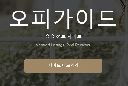 오피가이드 1