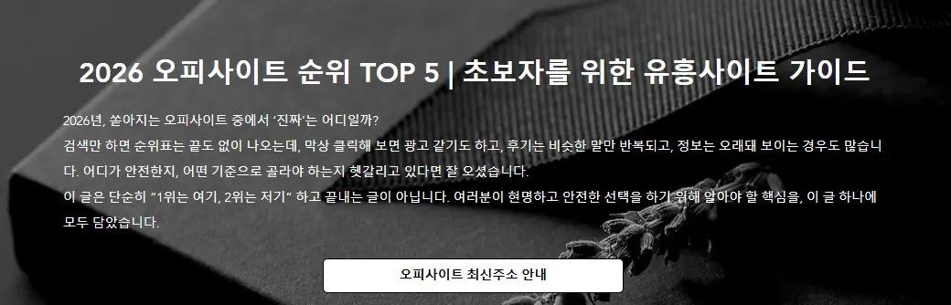오피사이트 1